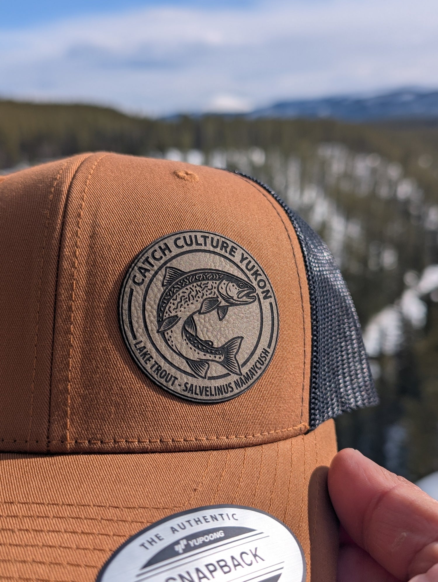 THE SPECIES COLLECTION