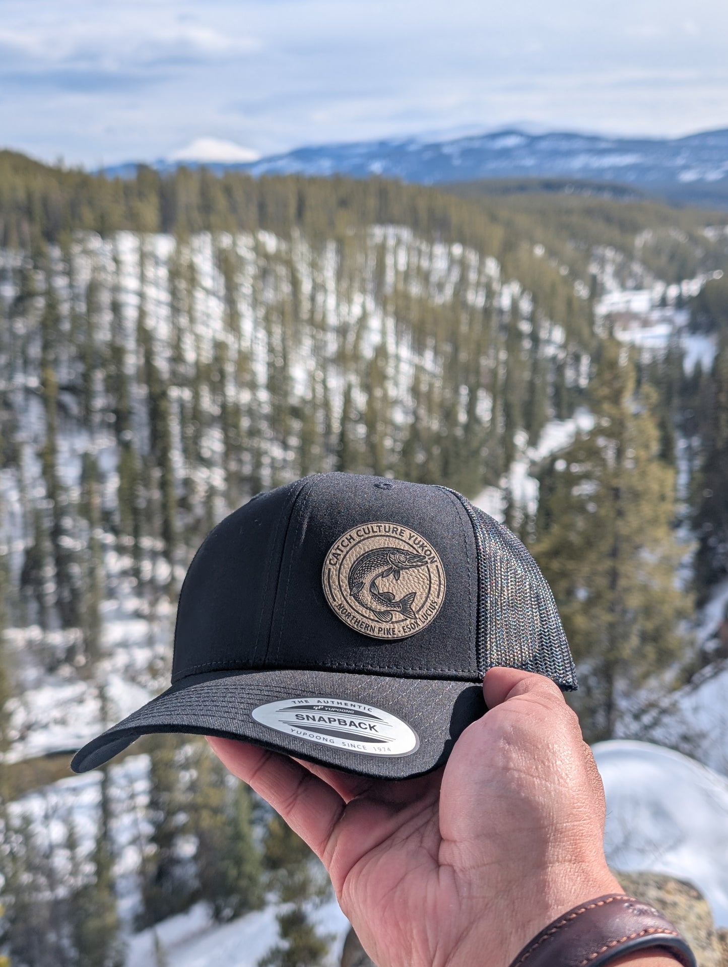 The Northern Pike (Esox lucius)