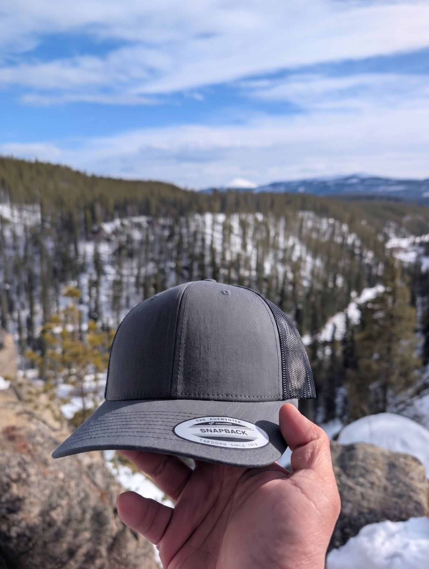 The Lake Trout (Salvelinus namaycush)