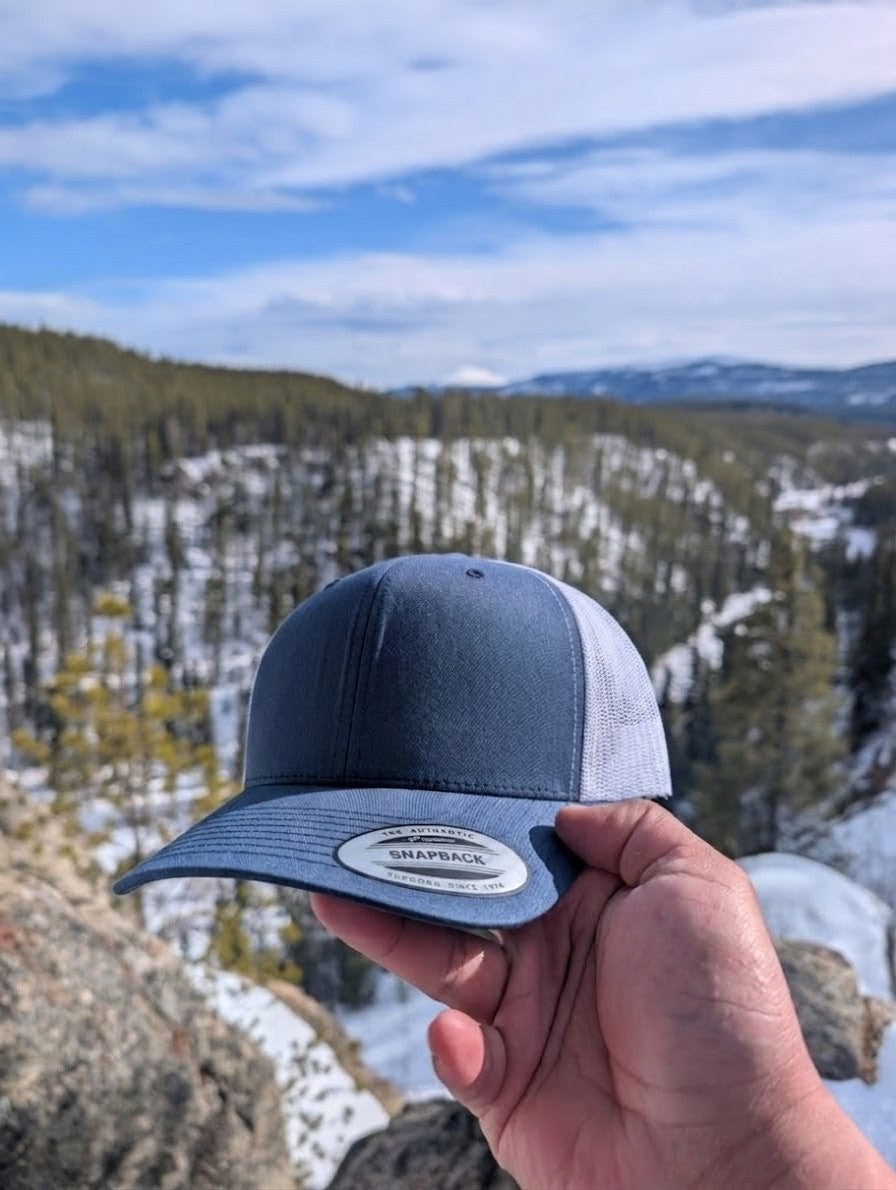 The Lake Trout (Salvelinus namaycush)