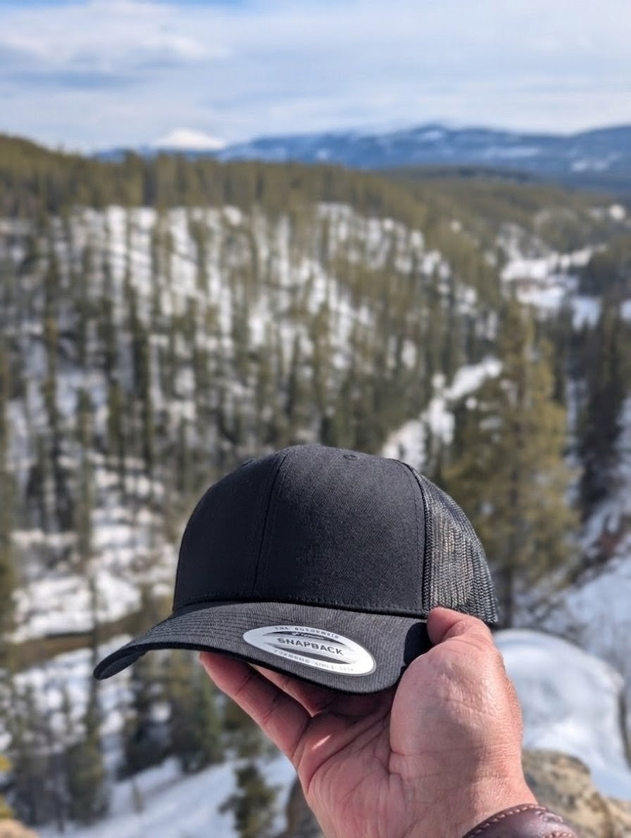 The Lake Trout (Salvelinus namaycush)