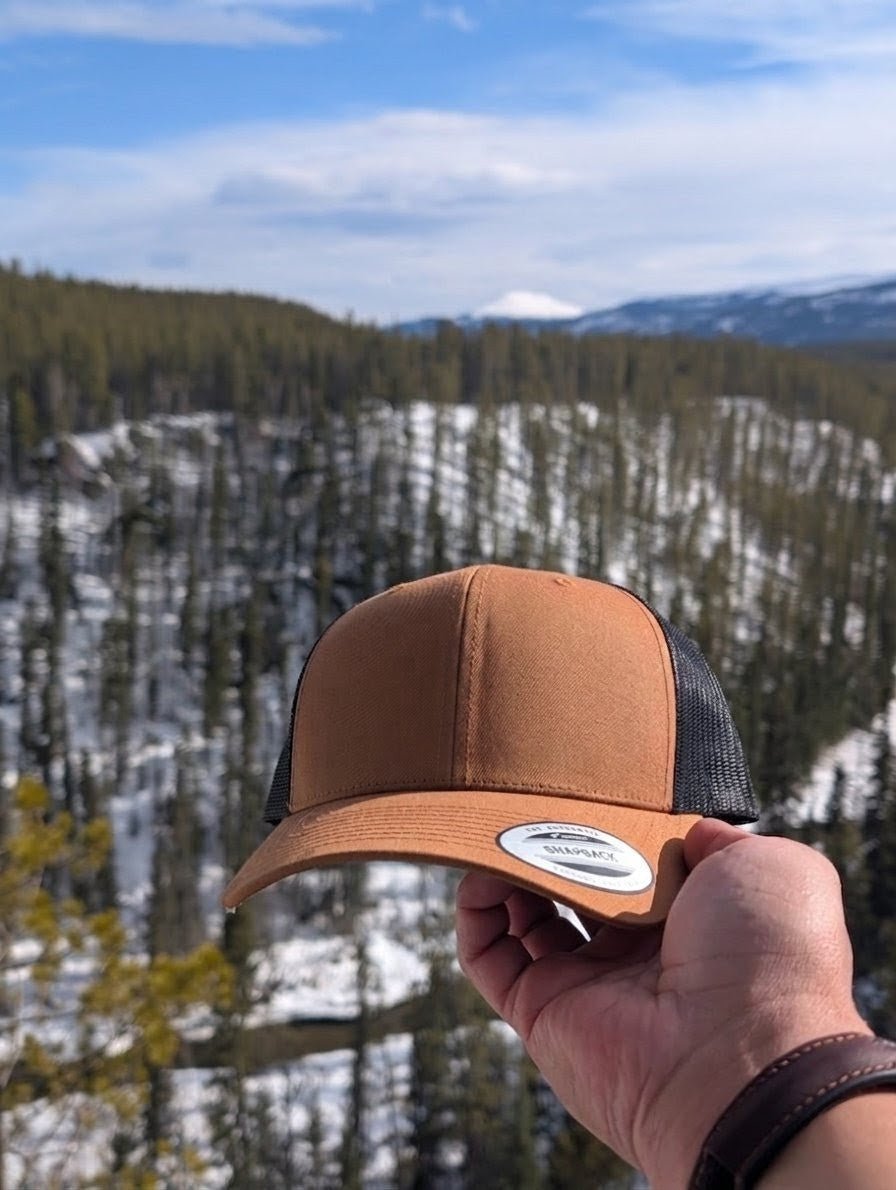 The Northern Pike (Esox lucius)